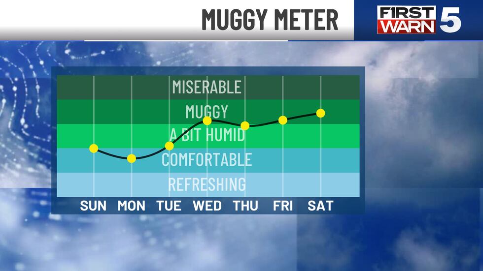 Muggy meter