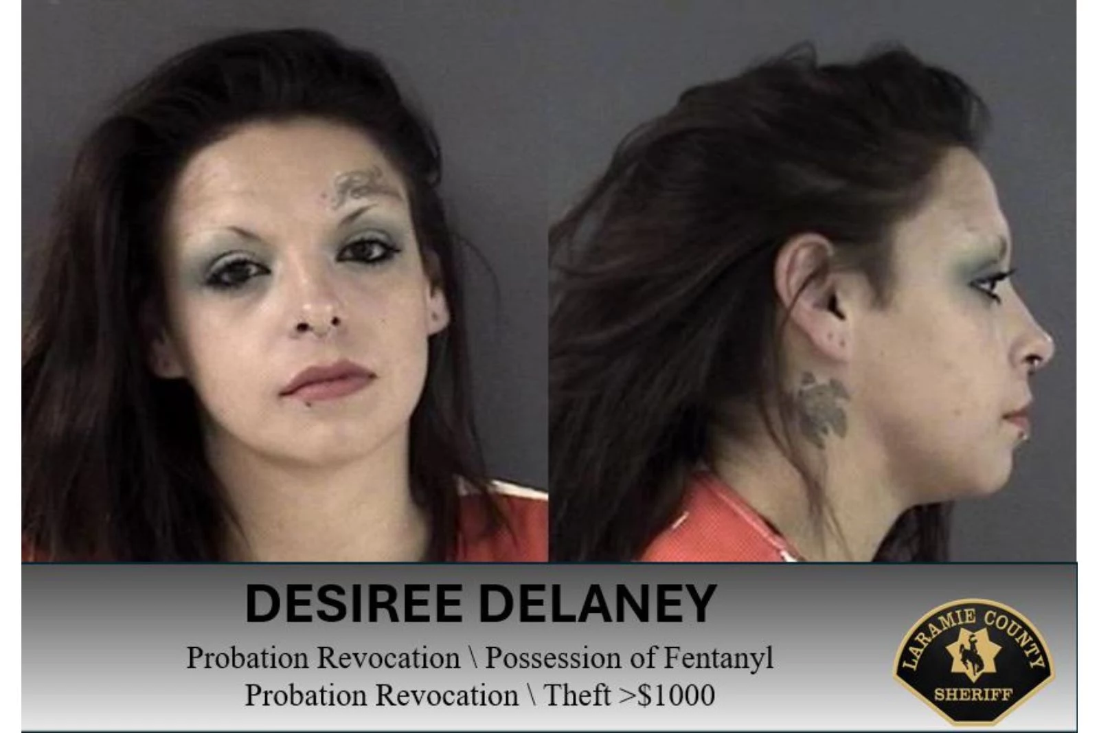 Laramie County Sheriff's Office via Facebook
