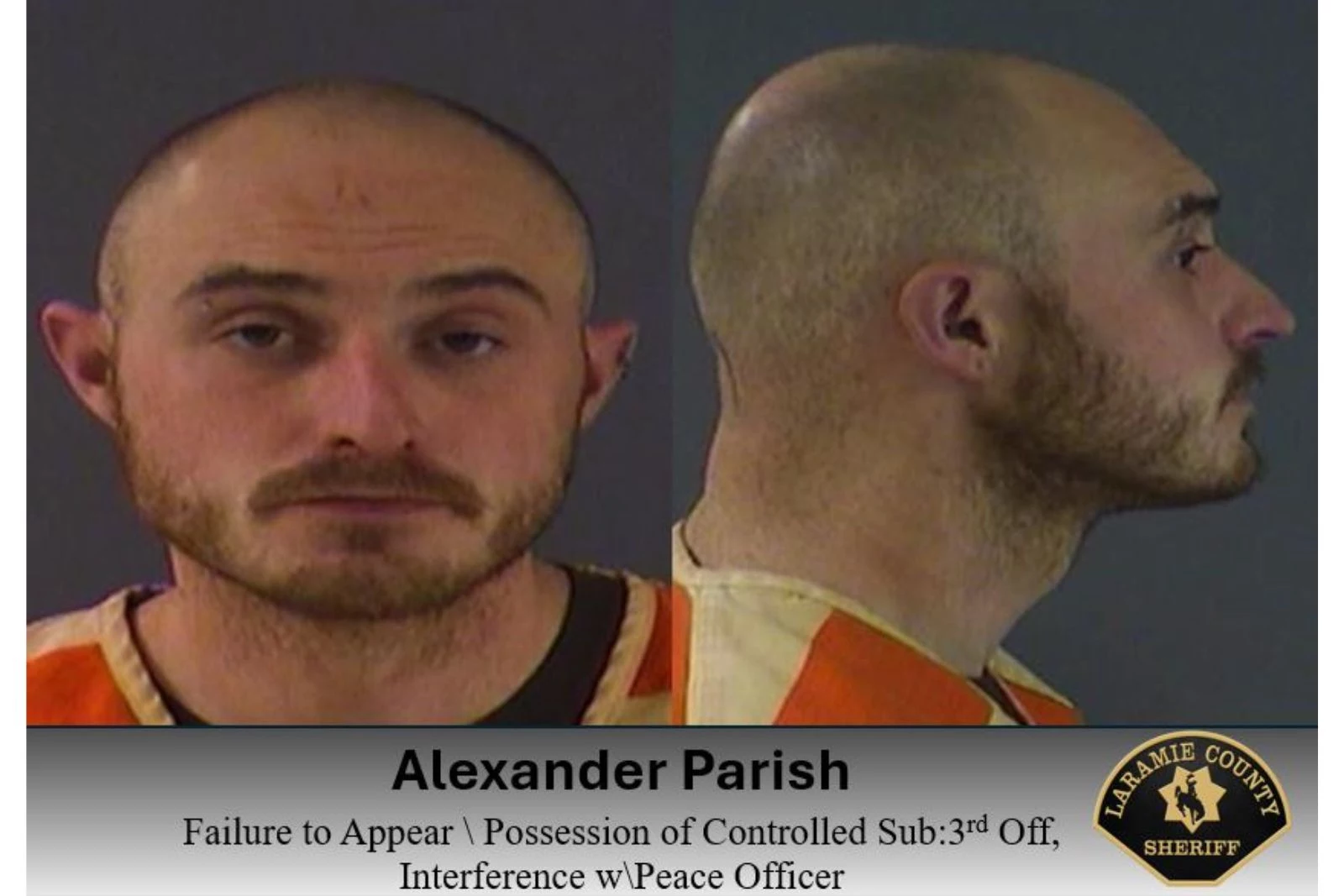 Laramie County Sheriff's Office via Facebook