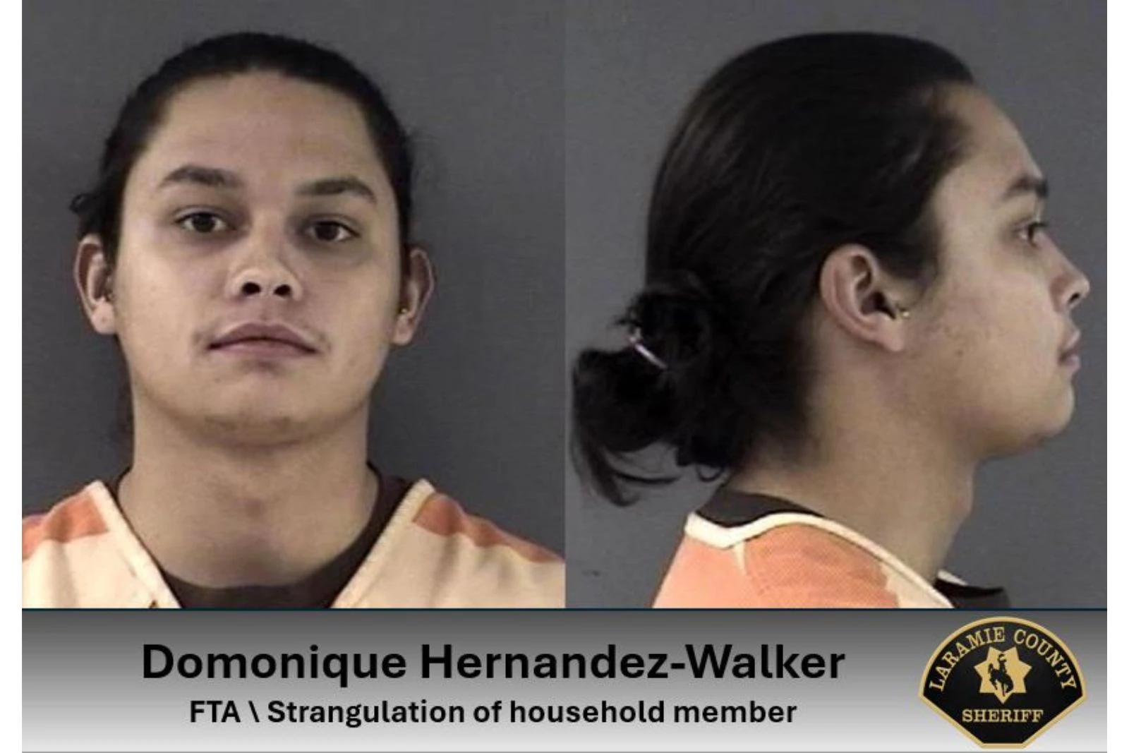 Laramie County Sheriff's Office via Facebook
