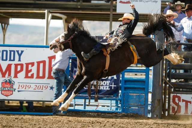Native Wyoming cowboy Cole Reiner won the bareback riding title at the 103rd Cody Stampede with an 88.5-point ride on Frontier Rodeo’s Southern Star.