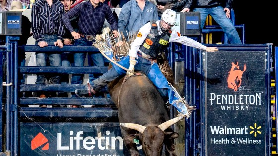 Texan bull rider, Cort McFadden, rides atop a bull named Down to Fly from Dosier Cattle Co in Devner, Colorado at the National Western Stock Show during the Professional Bull Riding for a total of 87 points