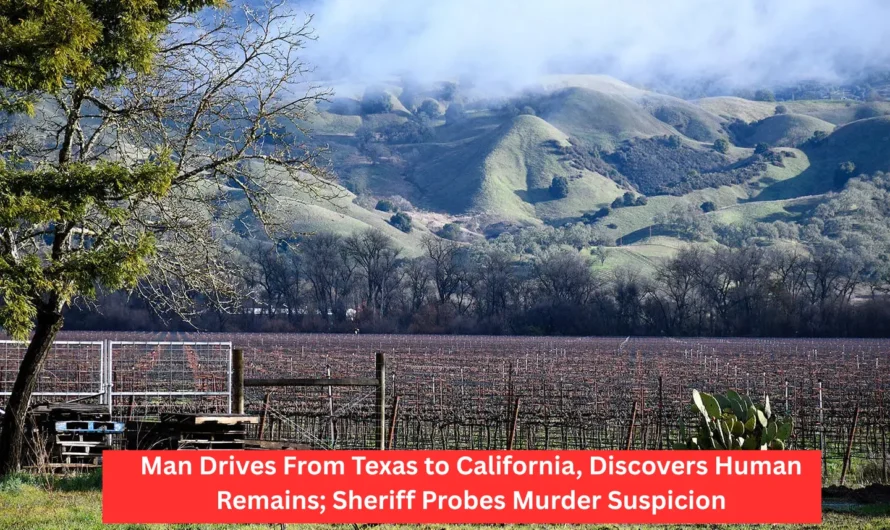 Man Drives From Texas to California, Discovers Human Remains; Sheriff Probes Murder Suspicion