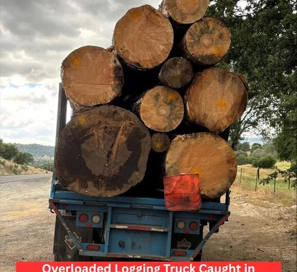 Overloaded Logging Truck Caught in California Hauling 15,000 Pounds Too Much
