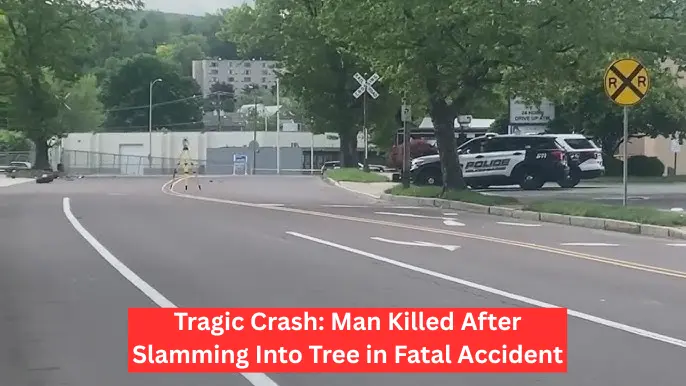 Tragic Crash: Man Killed After Slamming Into Tree in Fatal Accident
