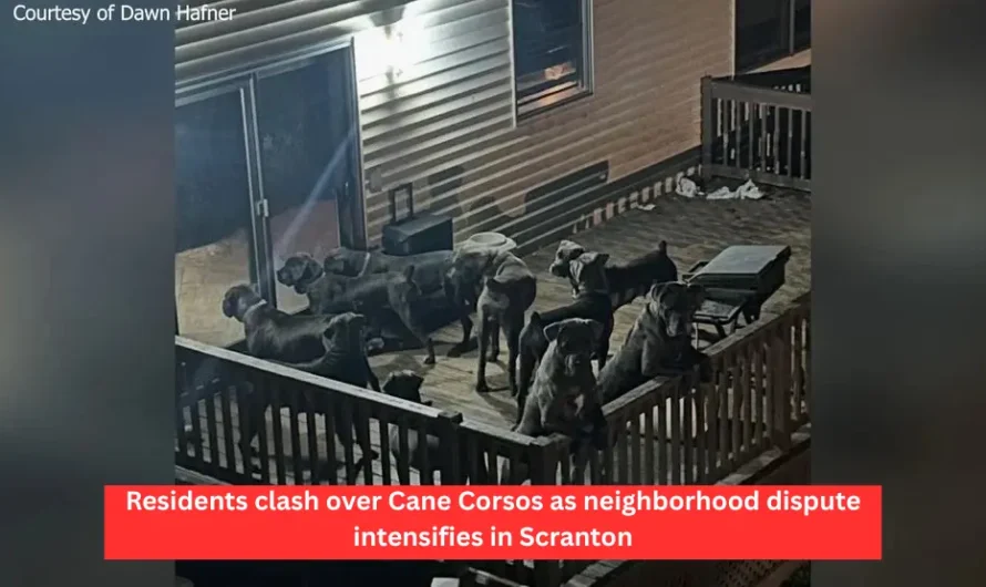 Residents clash over Cane Corsos as neighborhood dispute intensifies in Scranton
