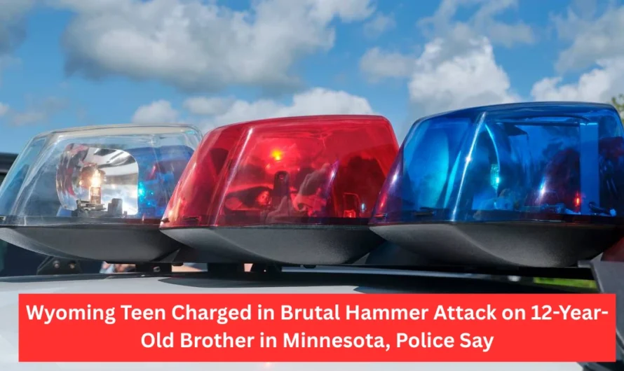 Wyoming Teen Charged in Brutal Hammer Attack on 12-Year-Old Brother in Minnesota, Police Say