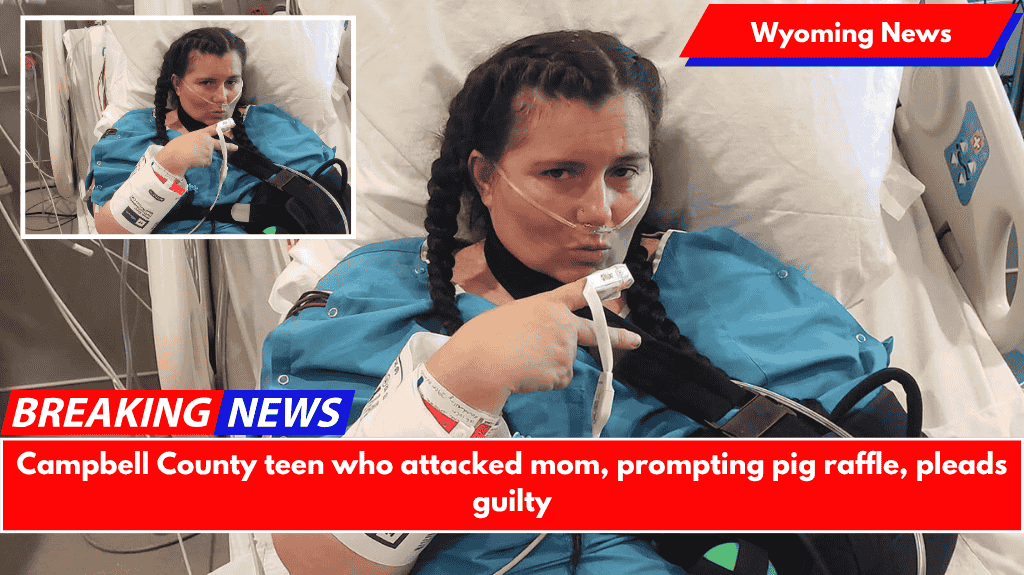Campbell County teen who attacked mom, prompting pig raffle, pleads guilty