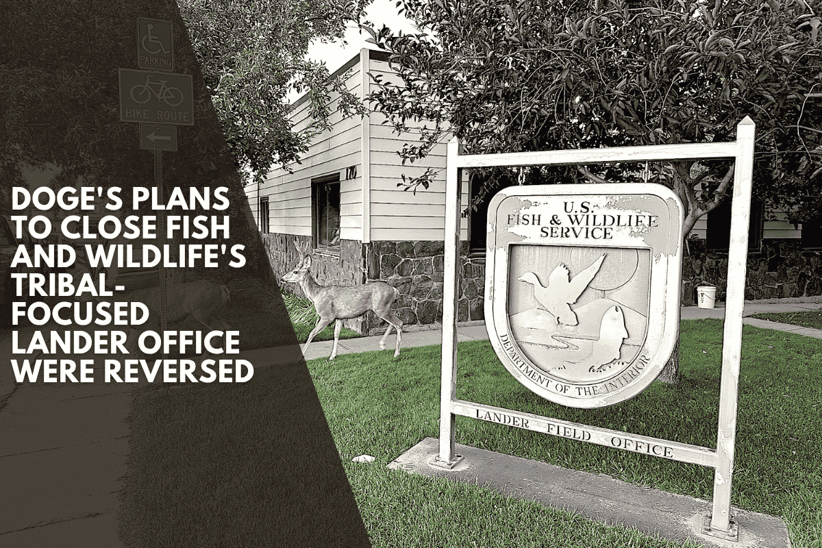 DOGE's plans to close Fish and Wildlife's tribal-focused Lander office were reversed