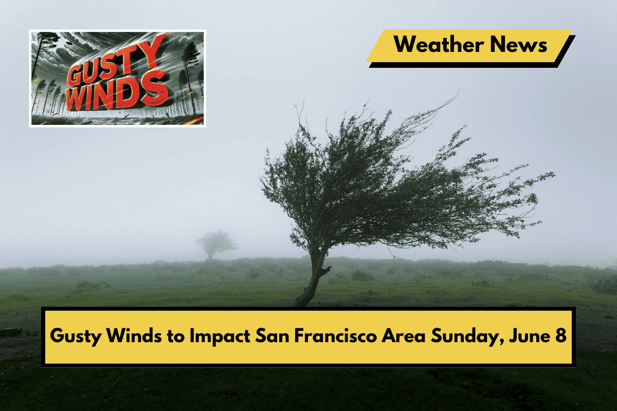 Gusty Winds to Impact San Francisco Area Sunday, June 8
