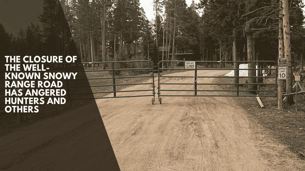 The Closure Of The Well-known Snowy Range Road Has Angered Hunters And Others