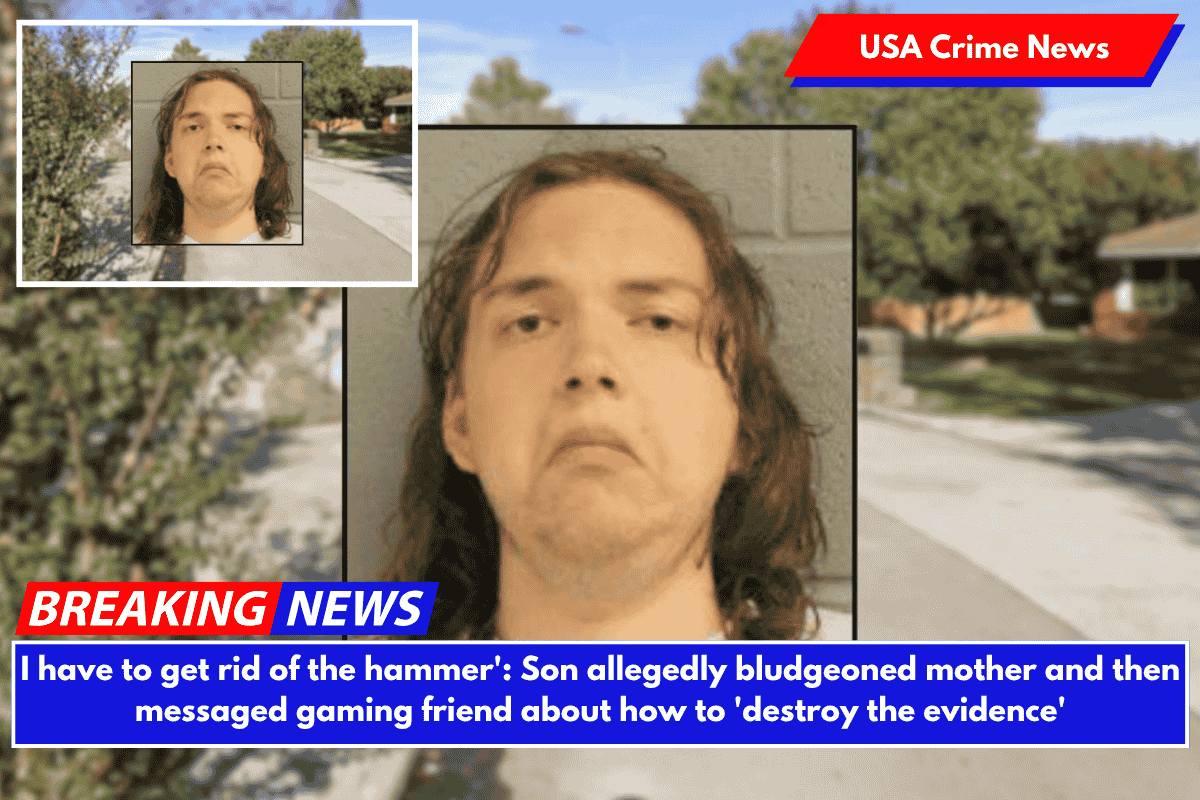 I have to get rid of the hammer': Son allegedly bludgeoned mother and then messaged gaming friend about how to 'destroy the evidence'