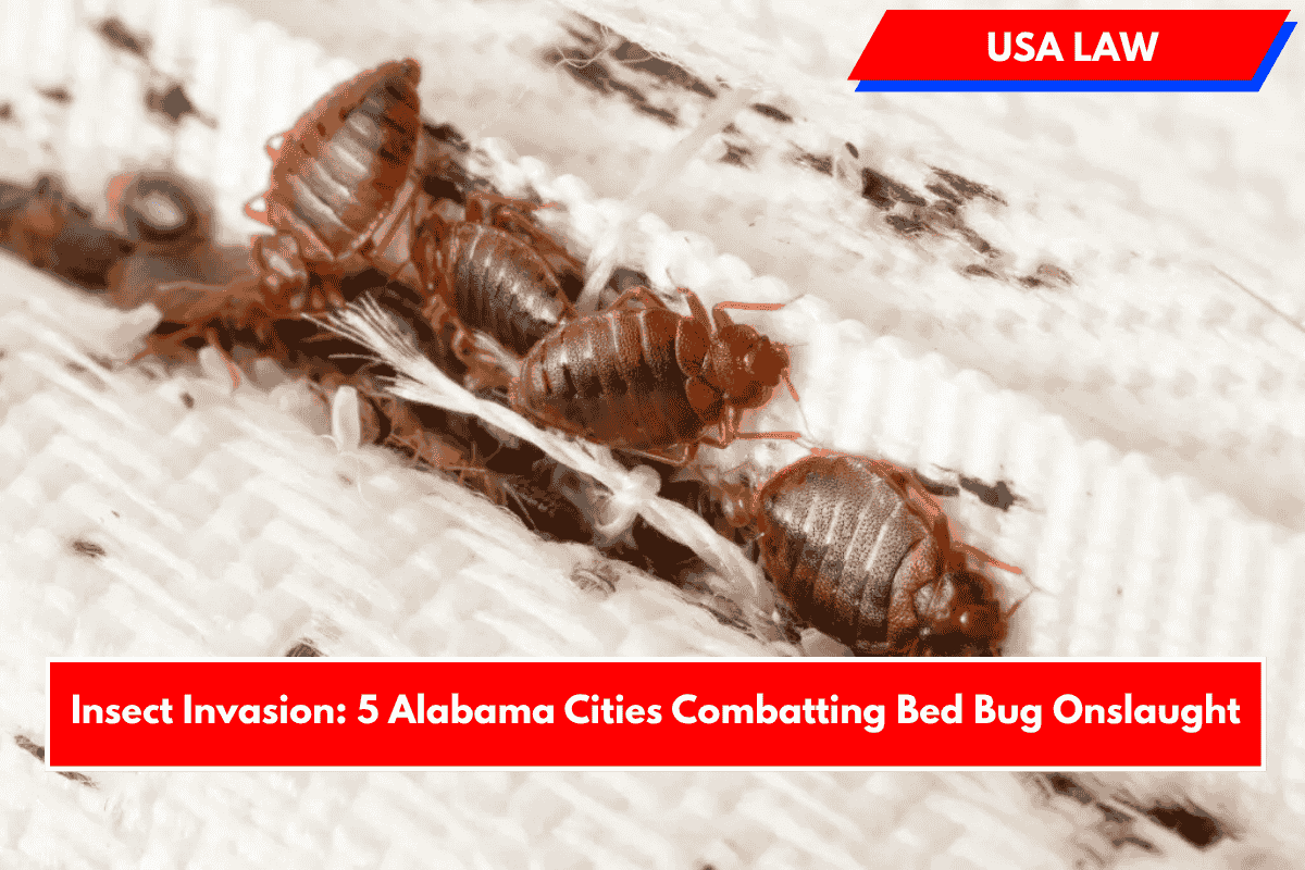 Insect Invasion: 5 Alabama Cities Combatting Bed Bug Onslaught