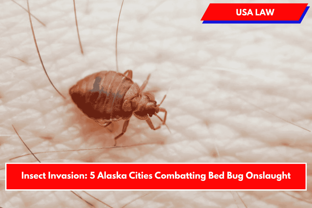 Insect Invasion: 5 Alaska Cities Combatting Bed Bug Onslaught