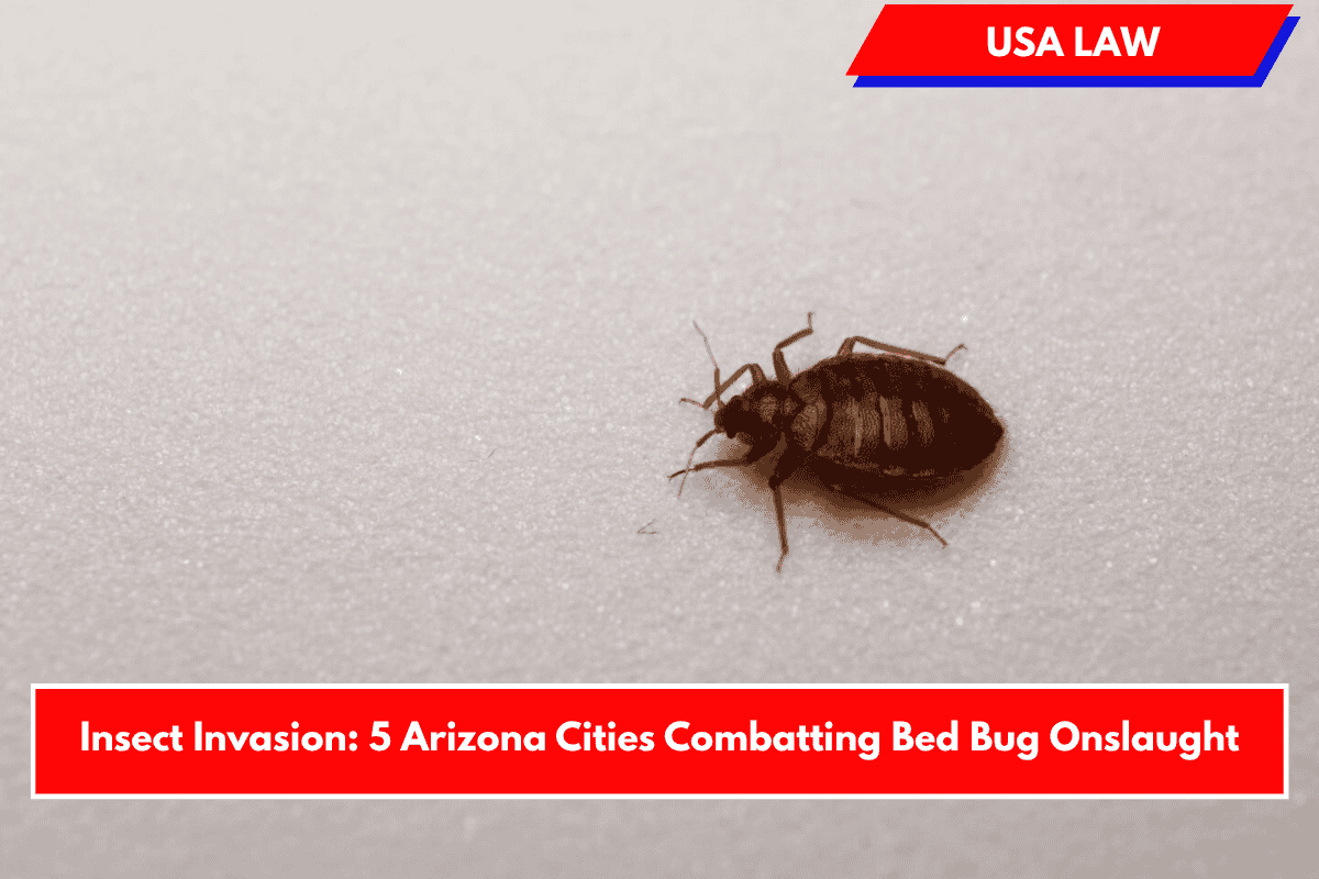 Insect Invasion: 5 Arizona Cities Combatting Bed Bug Onslaught