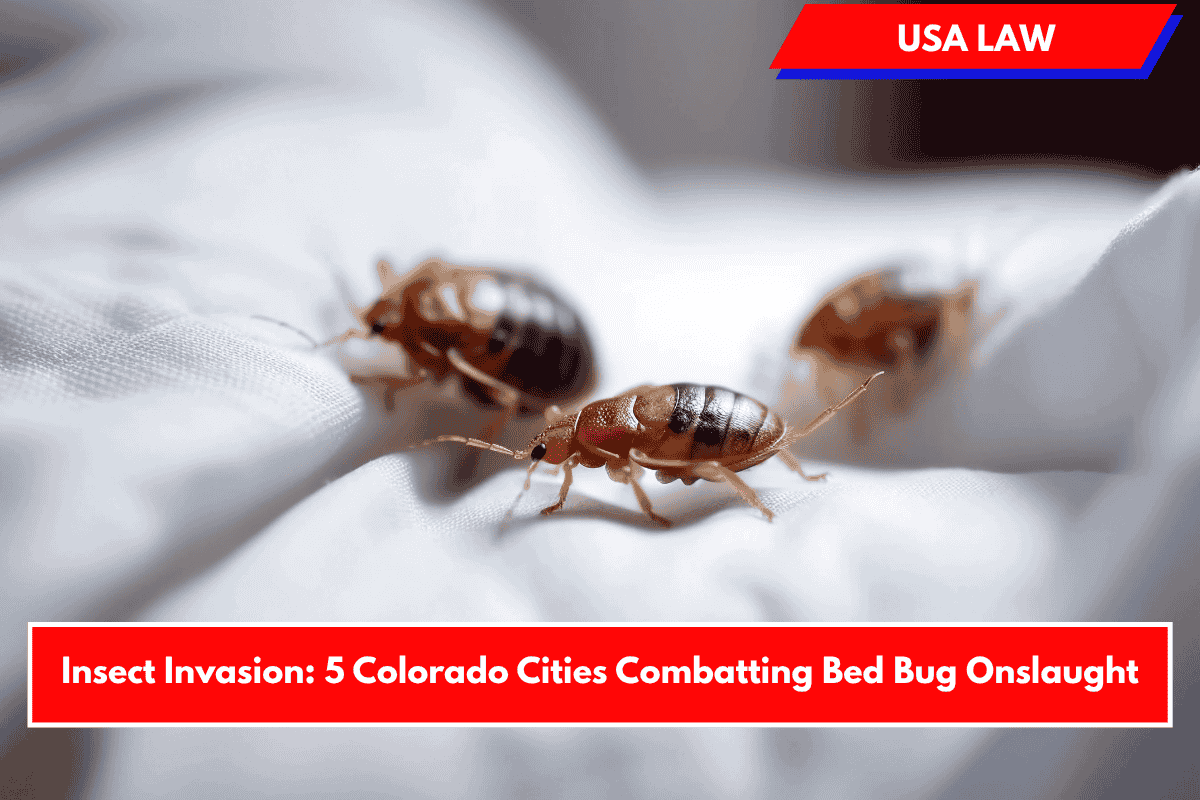 Insect Invasion: 5 Colorado Cities Combatting Bed Bug Onslaught