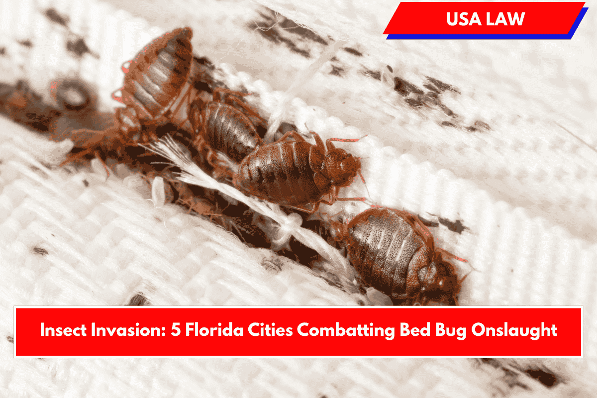Insect Invasion: 5 Florida Cities Combatting Bed Bug Onslaught