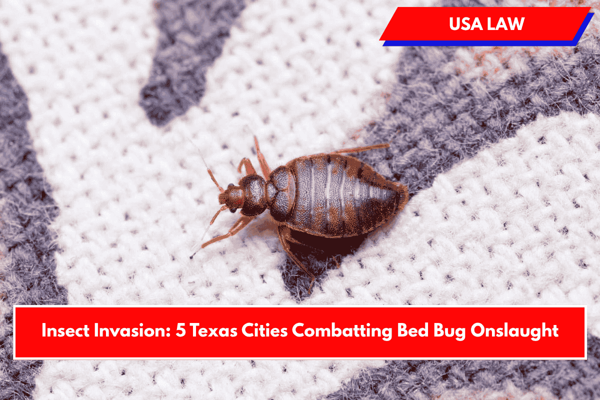 Insect Invasion: 5 Texas Cities Combatting Bed Bug Onslaught