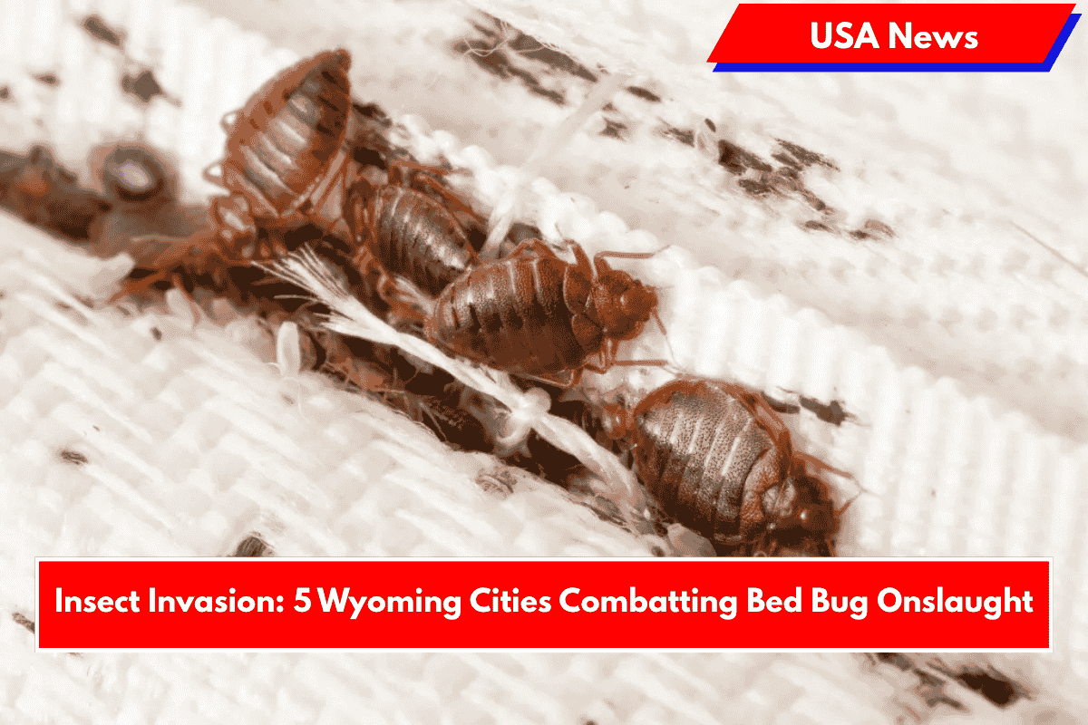 Insect Invasion: 5 Wyoming Cities Combatting Bed Bug Onslaught