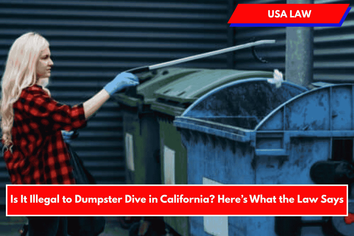 Is It Illegal to Dumpster Dive in California? Here’s What the Law Says