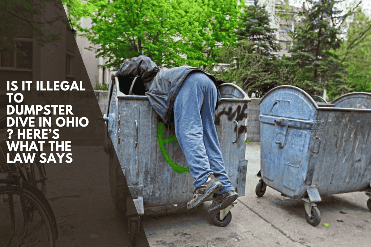 Is It Illegal to Dumpster Dive in Ohio ? Here’s What the Law Says