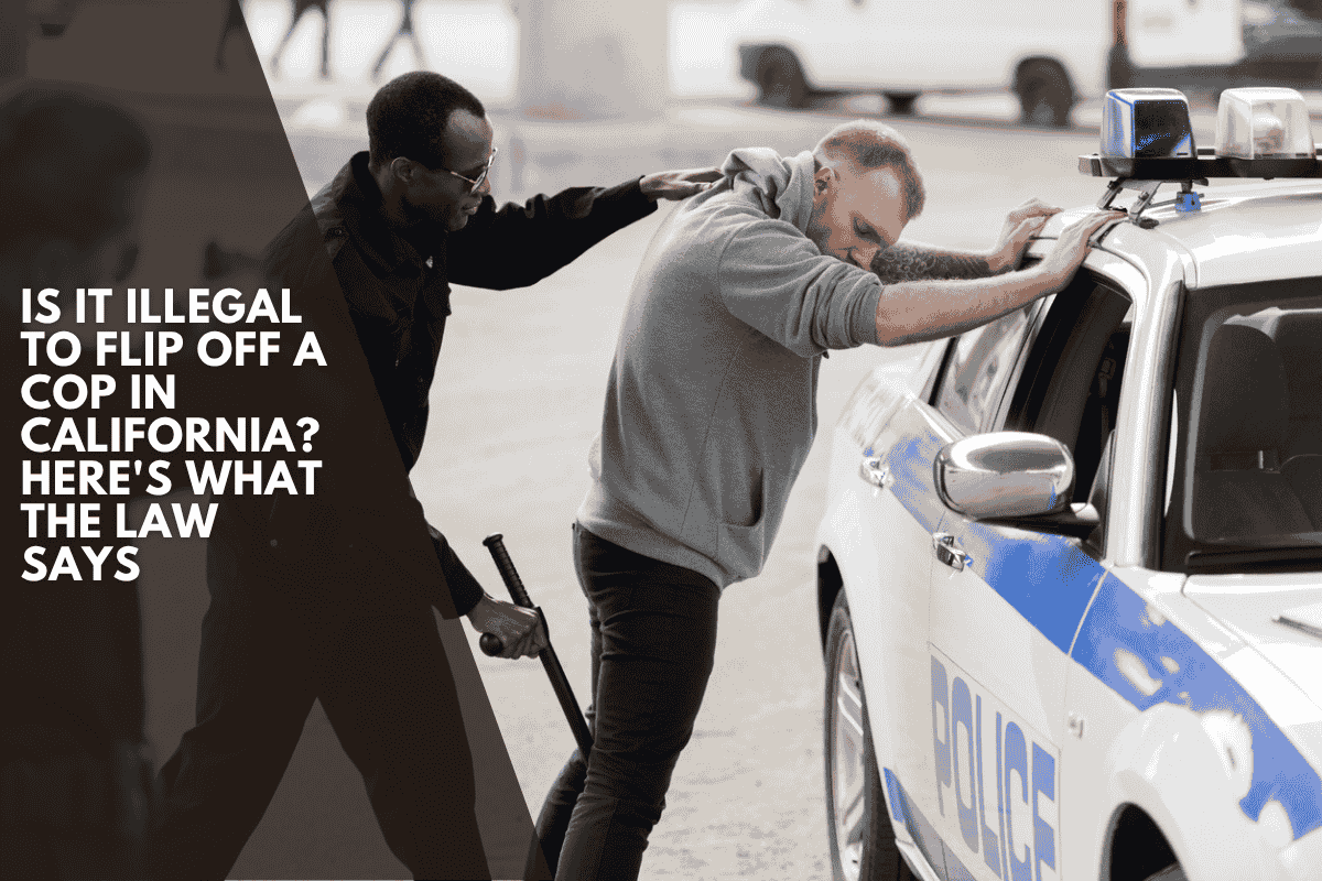 Is It Illegal to Flip Off a Cop in California? Here's What the Law Says
