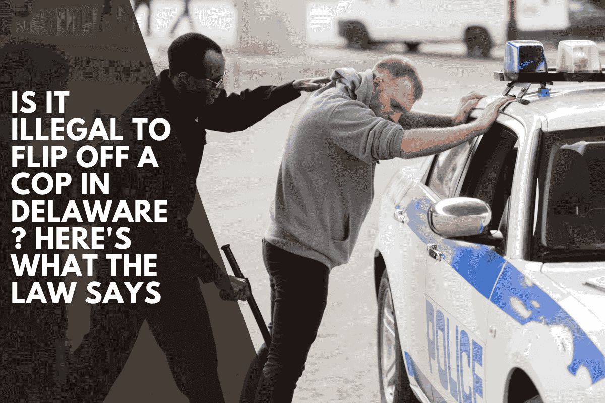 Is It Illegal to Flip Off a Cop in Delaware? Here's What the Law Says