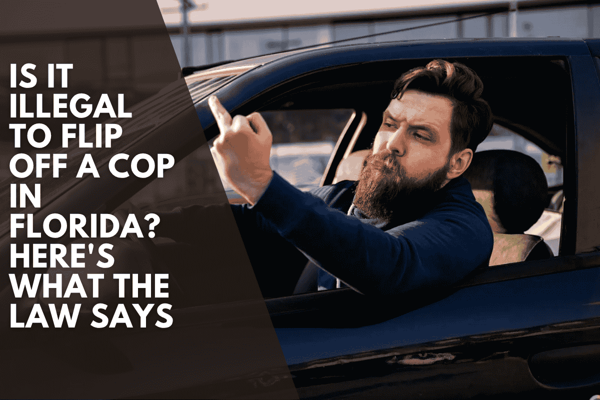 Is It Illegal to Flip Off a Cop in Florida? Here's What the Law Says
