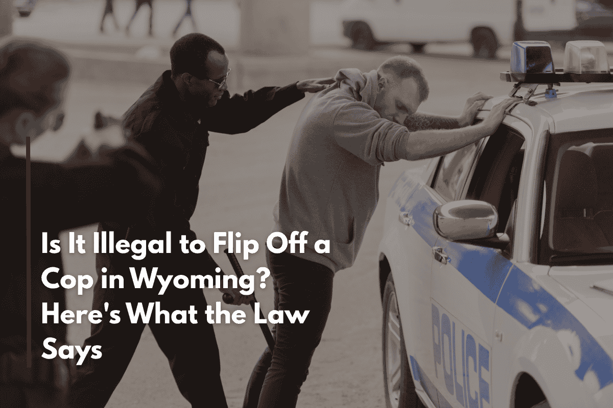 Is It Illegal to Flip Off a Cop in Wyoming? Here's What the Law Says