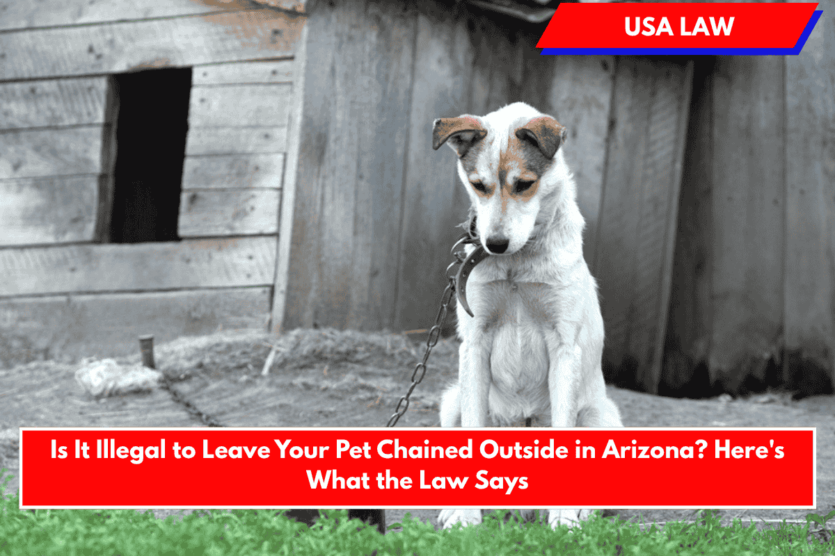 Is It Illegal to Leave Your Pet Chained Outside in Arizona? Here's What the Law Says