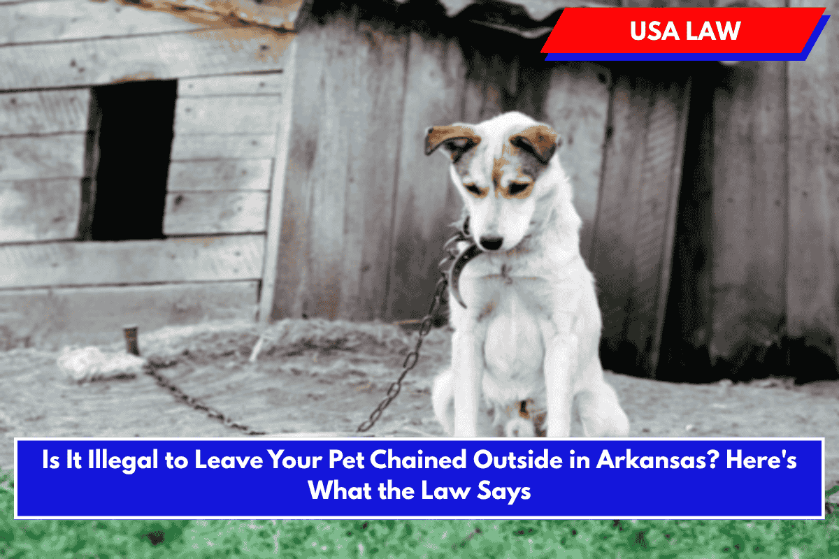 Is It Illegal to Leave Your Pet Chained Outside in Arkansas? Here's What the Law Says
