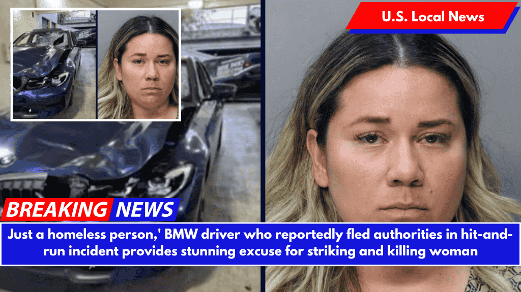 Just a homeless person,' BMW driver who reportedly fled authorities in hit-and-run incident provides stunning excuse for striking and killing woman