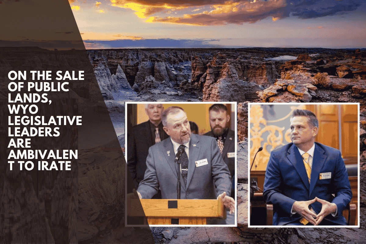 On the sale of public lands, Wyo legislative leaders are ambivalent to irate
