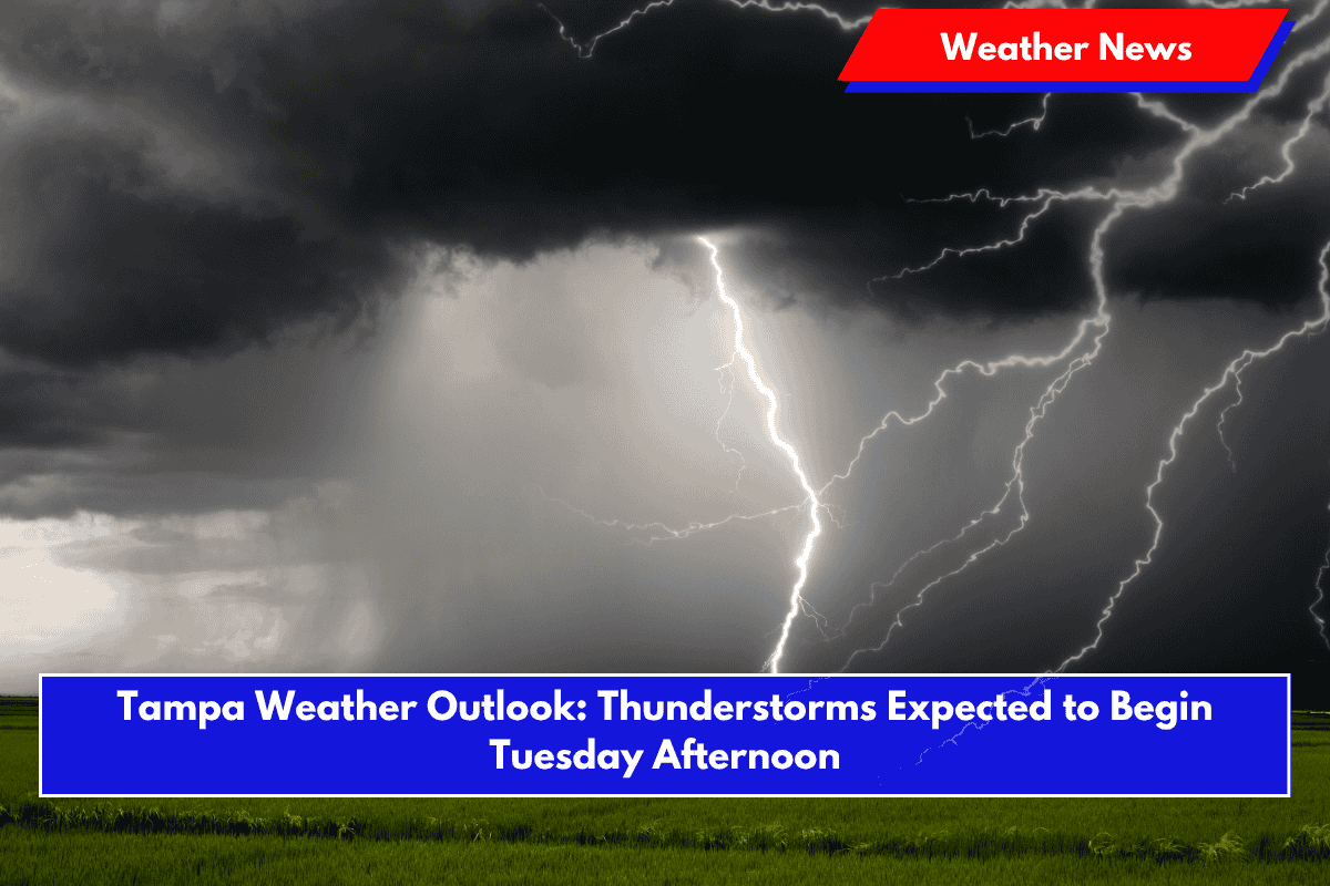Tampa Weather Outlook: Thunderstorms Expected to Begin Tuesday Afternoon