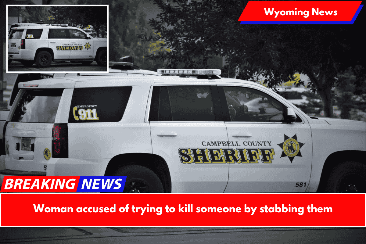 Woman accused of trying to kill someone by stabbing them