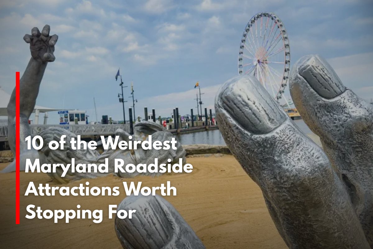 10 of the Weirdest Maryland Roadside Attractions Worth Stopping For