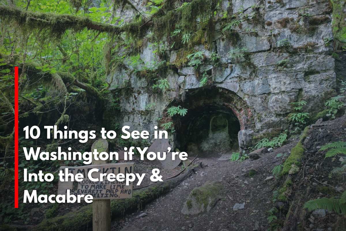 10 Things to See in Washington if You’re Into the Creepy & Macabre