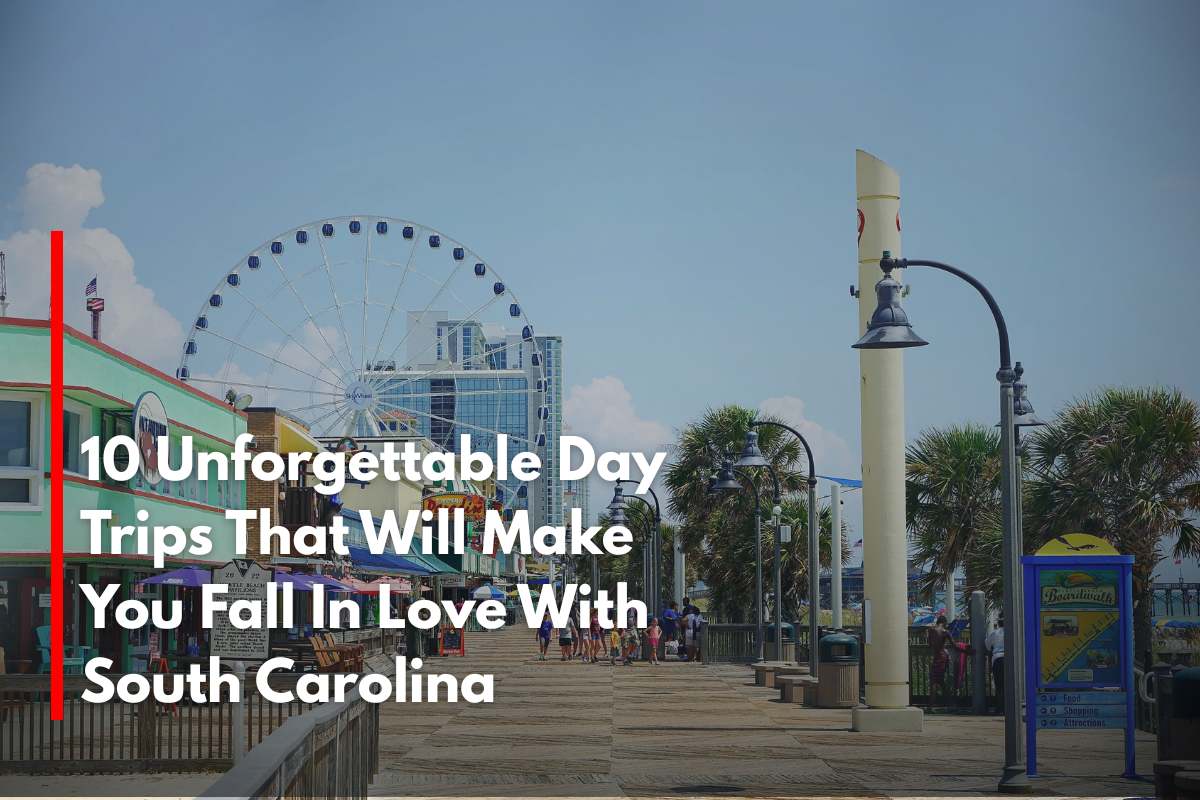 10 Unforgettable Day Trips That Will Make You Fall In Love With South Carolina