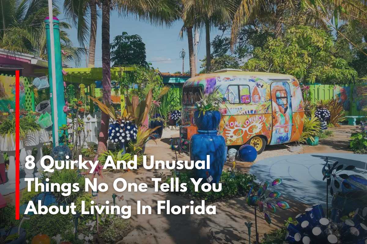 8 Quirky And Unusual Things No One Tells You About Living In Florida