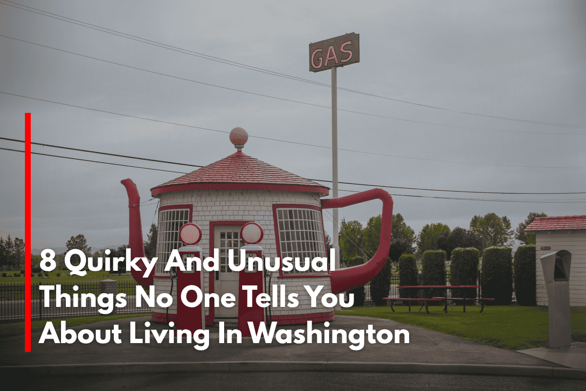 8 Quirky And Unusual Things No One Tells You About Living In Washington