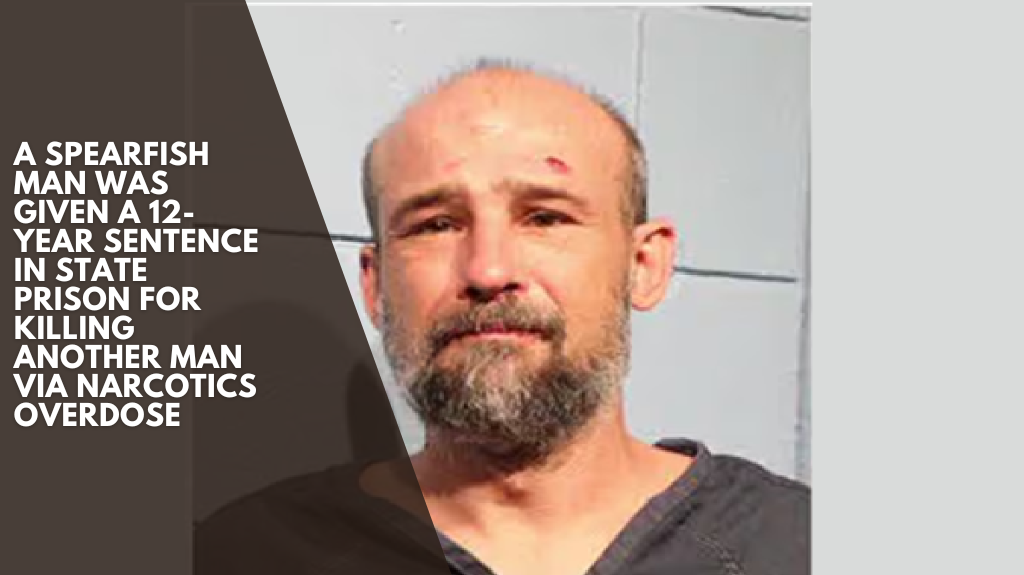 A Spearfish man was given a 12-year sentence in state prison for killing another man via narcotics overdose