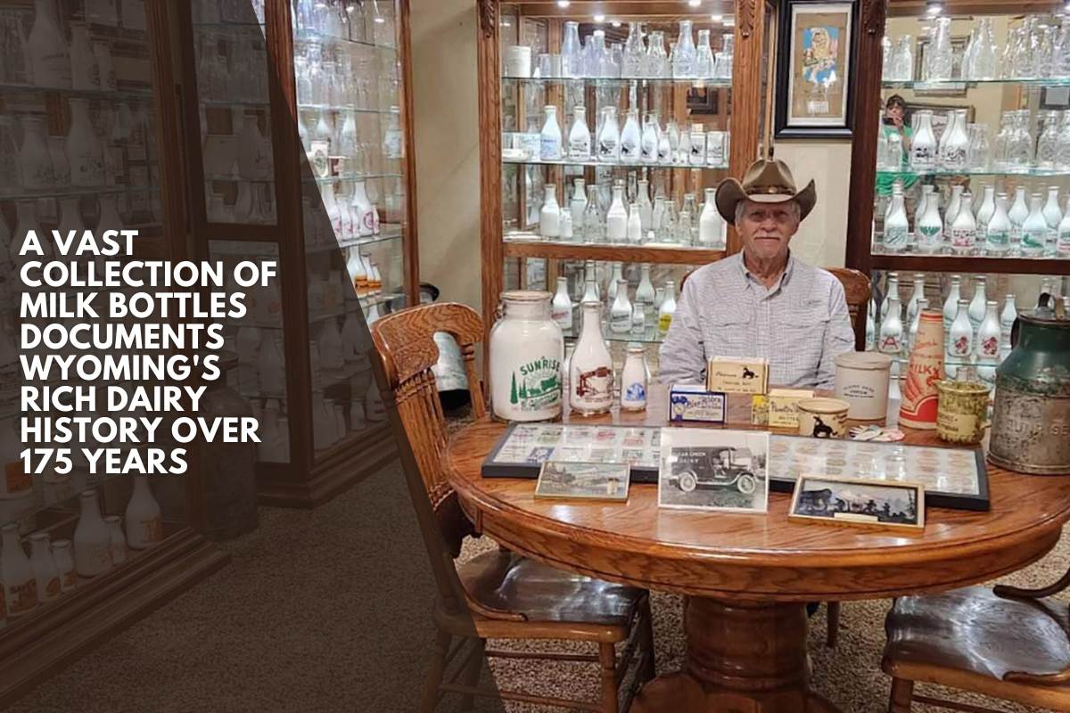 A Vast Collection of Milk Bottles Documents Wyoming's Rich Dairy History Over 175 Years