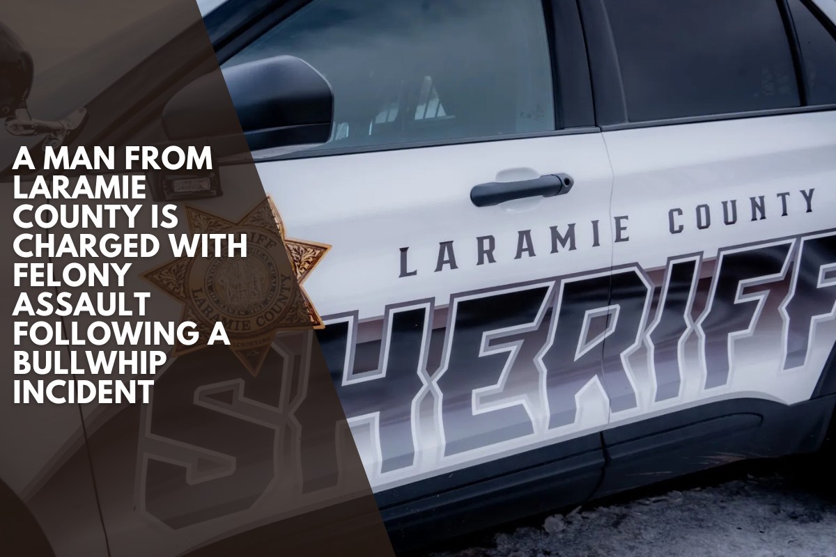 A man from Laramie County is charged with felony assault following a bullwhip incident