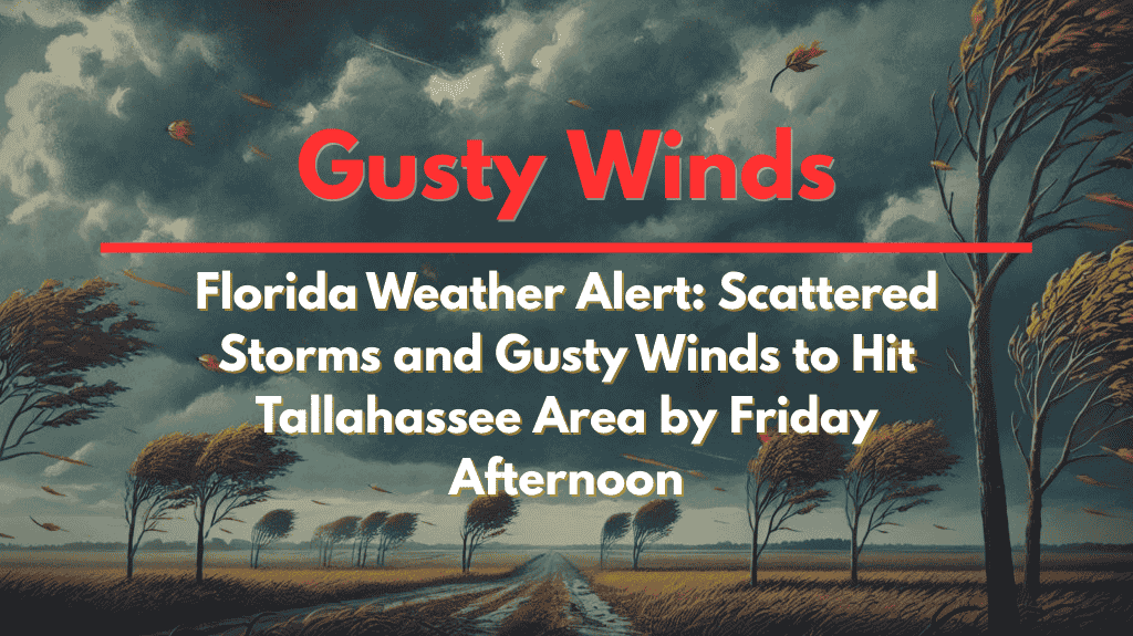 Florida Weather Alert Scattered Storms and Gusty Winds to Hit Tallahassee Area by Friday Afternoon