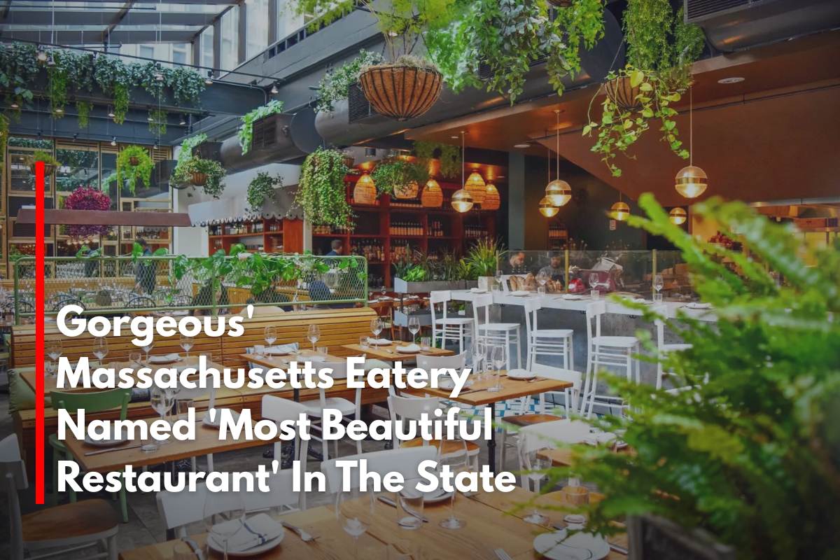Gorgeous' Massachusetts Eatery Named 'Most Beautiful Restaurant' In The State