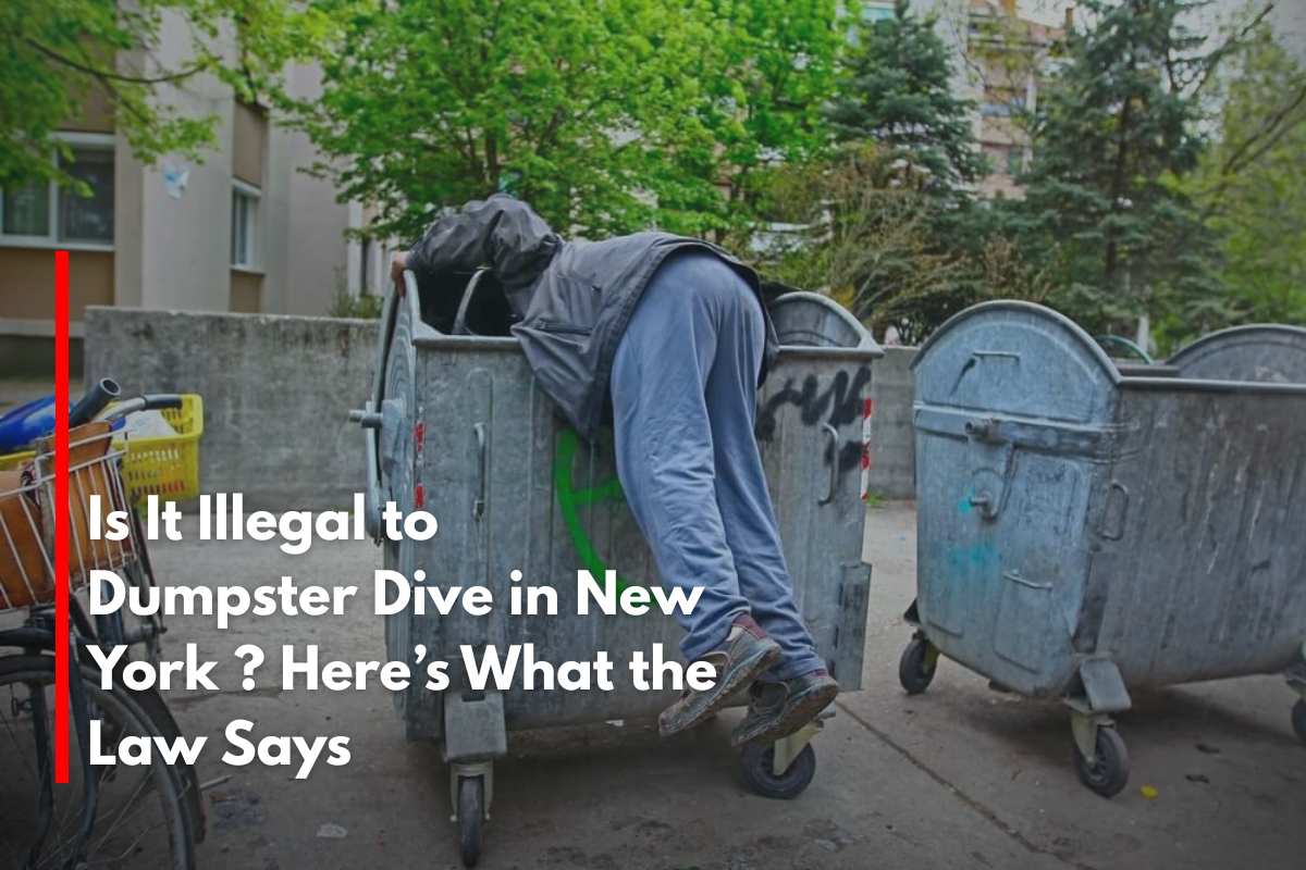 Is It Illegal to Dumpster Dive in New York Here’s What the Law Says