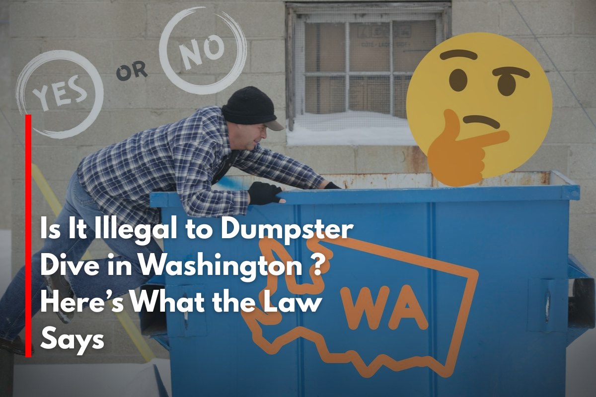 Is It Illegal to Dumpster Dive in Washington Here’s What the Law Says