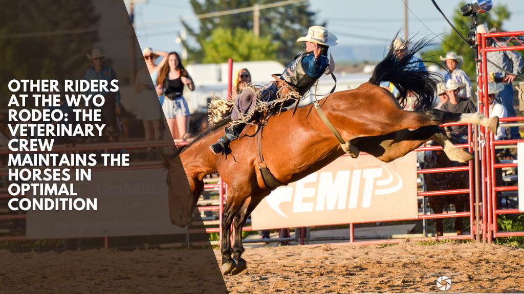 Other riders at the WYO Rodeo the veterinary crew maintains the horses in optimal condition