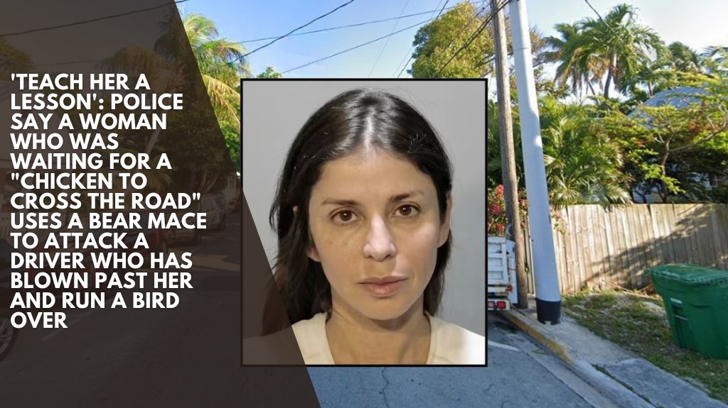 'Teach her a lesson' Police say a woman who was waiting for a chicken to cross the road uses a bear mace to attack a driver who has blown past her and run a bird over
