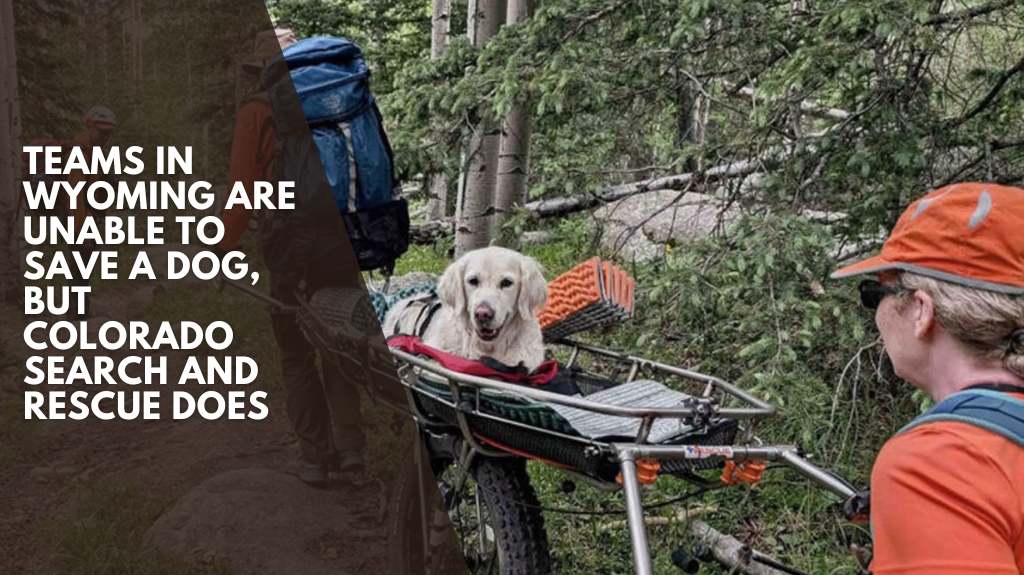 Teams in Wyoming are unable to save a dog, but Colorado search and rescue does